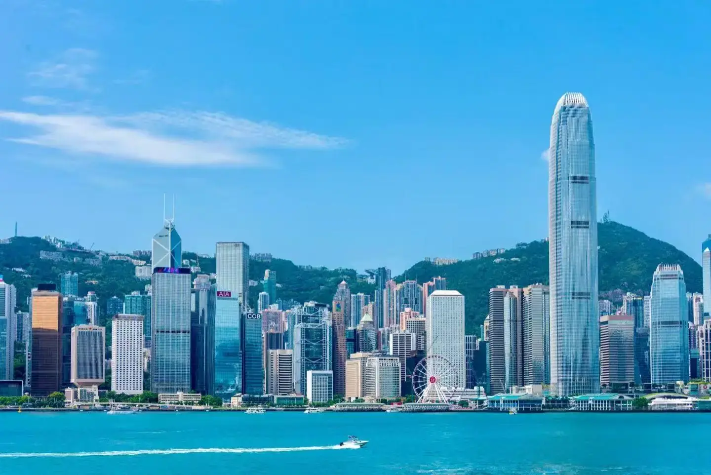 2026大湾区首选|柏越集团专攻香港身份四大通道合规移民机构盘点(优才/高才通/专才/进修)